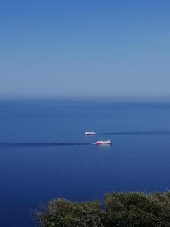 Aegean Deep Blue Andros Ano Aprovato Daire Dış mekan fotoğraf